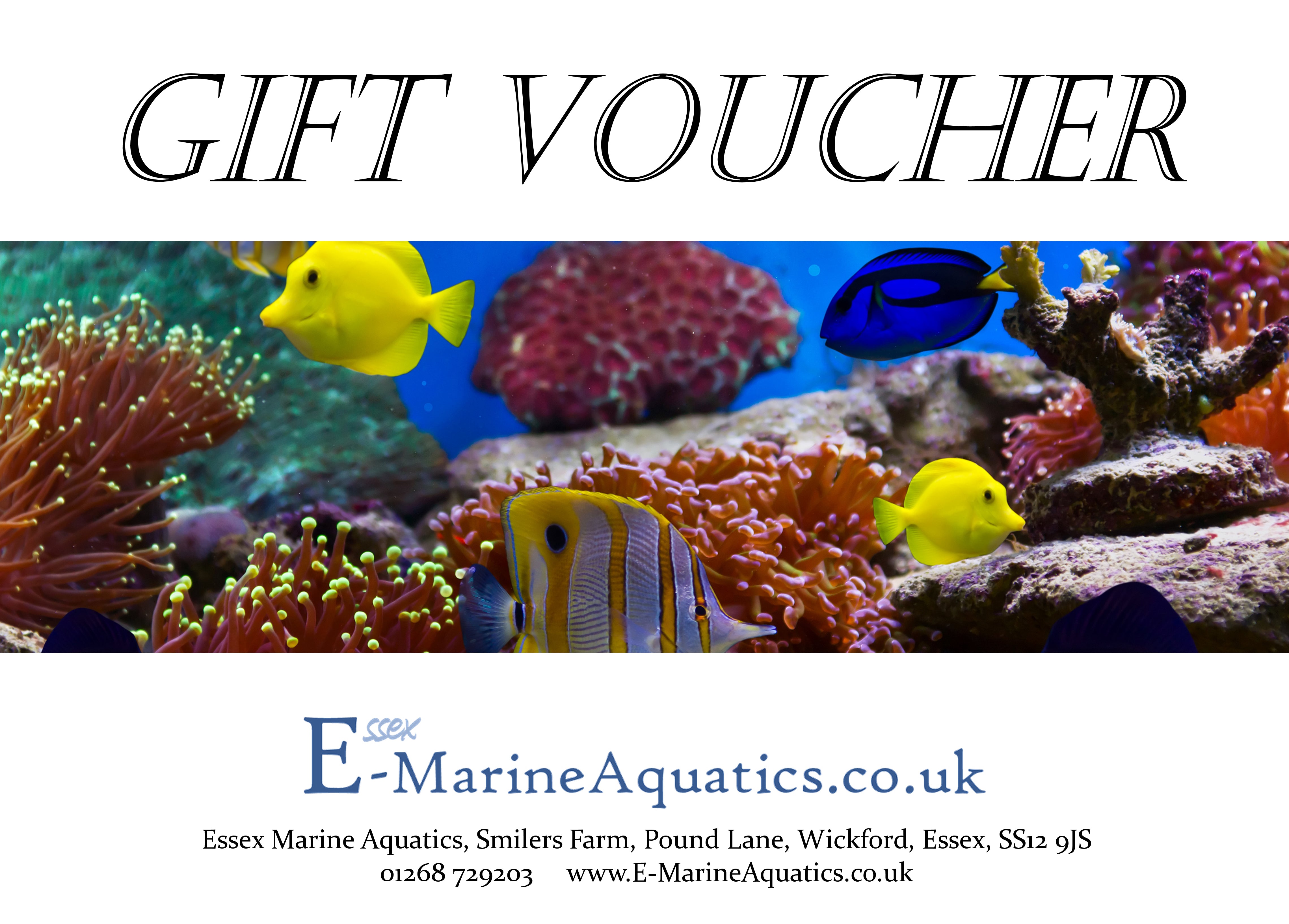 £20 Gift Voucher for the Store Essex Marine Aquatics