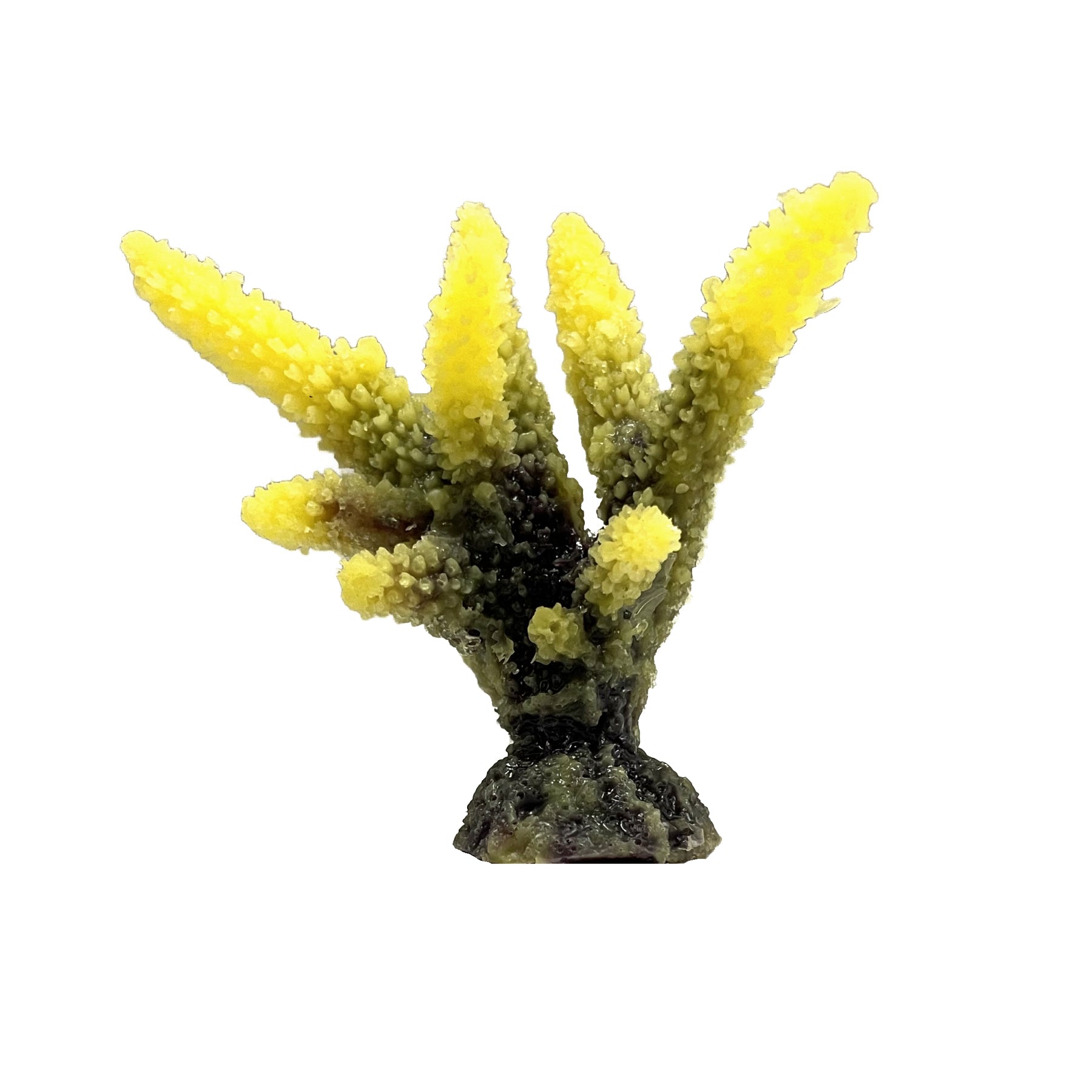 TMC Natureform Staghorn Acropora Coral Yellow Aquarium Ornament Essex