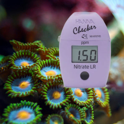 Keeping Marine Fish & Inverts: Water parameters (Care guide pt. 1)