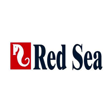 Red Sea