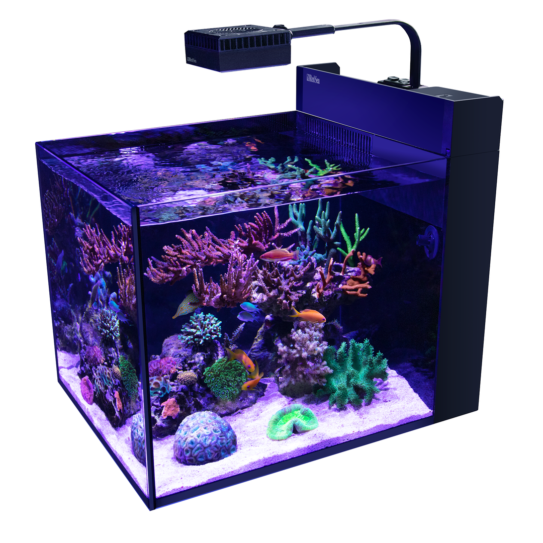 【kazuya04030618さま専用】 Red Sea MAX NANO Red Sea MAX® Nano Peninsula G2 - excl. cabinet – Essex Marine Aquatics