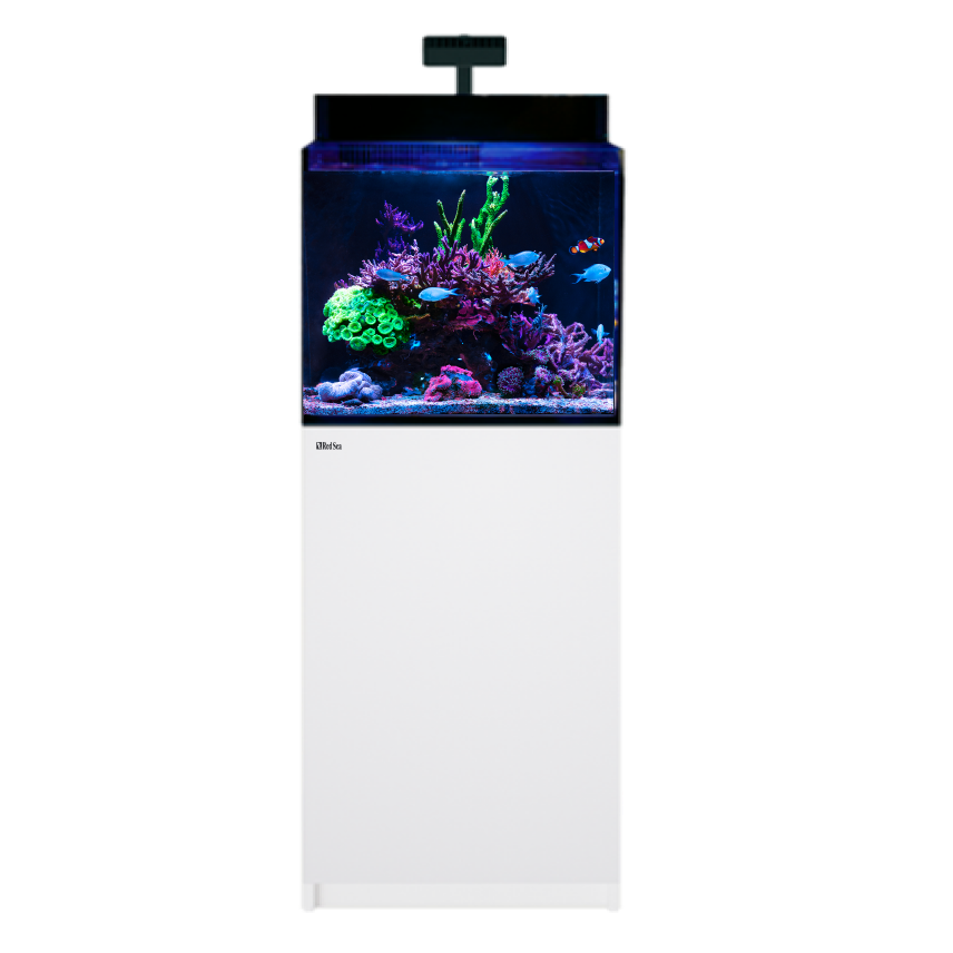 Red Sea MAX® Nano XL G2 - Including cabinet (Black or White