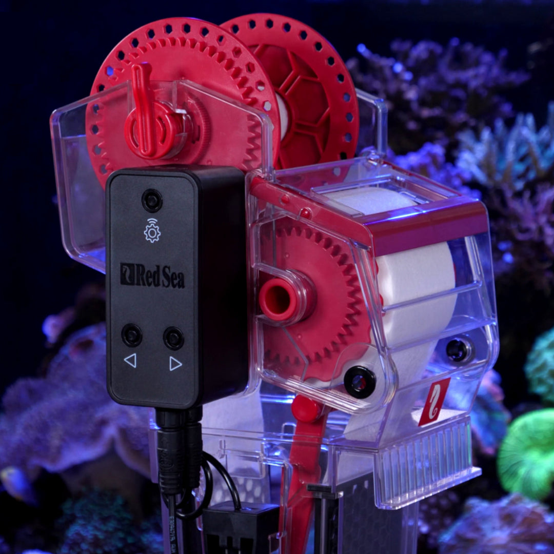 Mat Reef レッドシー 250 Whitecorals at inform] and [buy 250 Filter Fleece ReefMat Sea Red 水槽