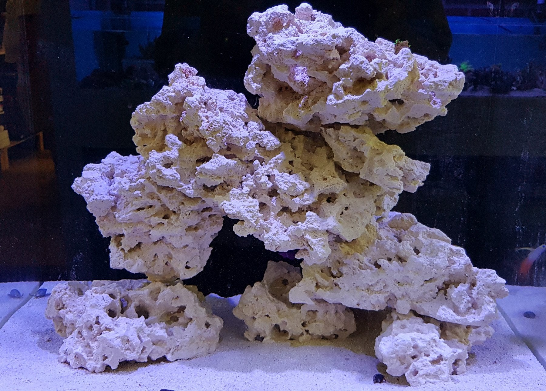 Marco Rocks For Sale Marco Rock Boulders (Live Rock Alternative) 5kg, 10kg & 20kg Bundles ...
