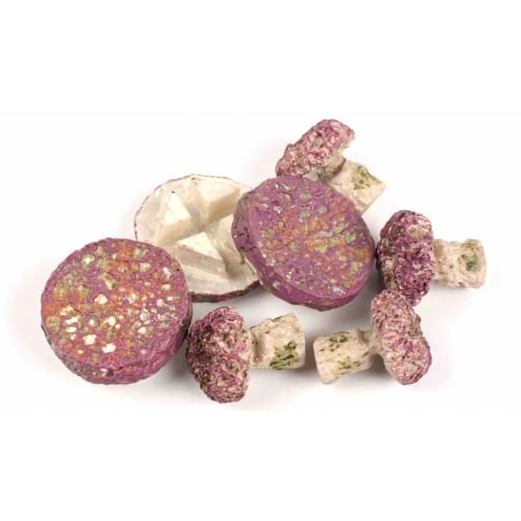 TMC Coral Frag Plug Mix (10x standard & 10x egg crate) – Essex Marine ...